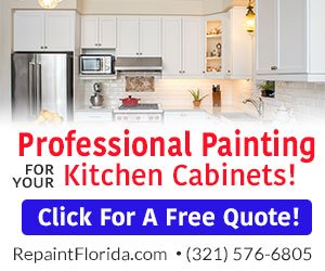 RePaint Florida - Banner Ad By AreaEcho